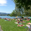 SH101594_JPG-1280757661