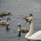 IMG_7940_jpg-1280761059