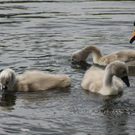 IMG_7948_jpg-1280761087