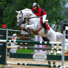 reiten_jpg-1280762838
