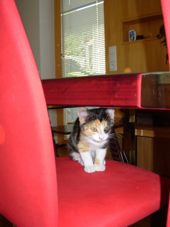 DSCN1760.JPG