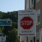 IMG_8115.jpg