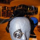 102_7077_jpg-1280923416