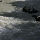 normal_04082010loferffaktivnews_49.jpg