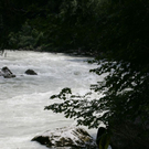 normal_04082010loferffaktivnews_68.jpg
