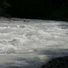 normal_04082010loferffaktivnews_72.jpg
