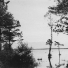 rheindelta1_web.jpg