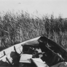 rheindelta4_web.jpg