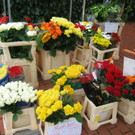 IMG_4156_JPG-1281005763