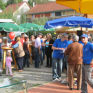 IMG_4167_JPG-1281005780