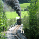 IMG_1137_JPG-1281007524