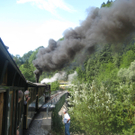 IMG_7954_JPG-1281008511
