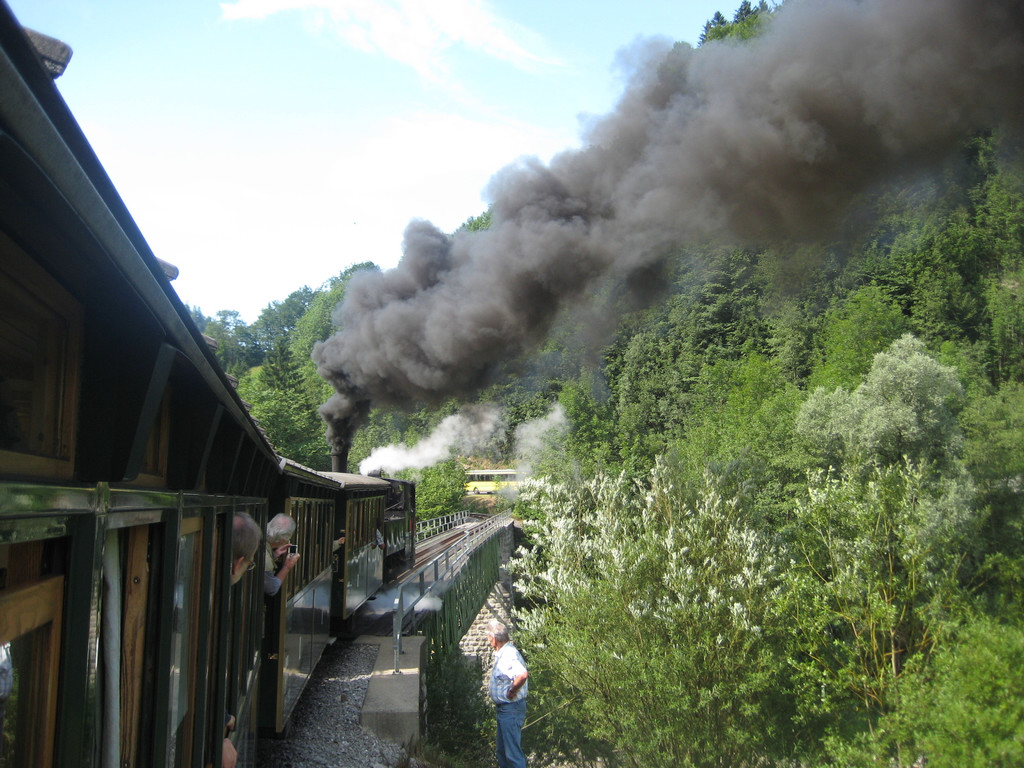 IMG_7954_JPG-1281008511