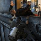 scc1.jpg