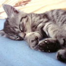 DSC00485.JPG