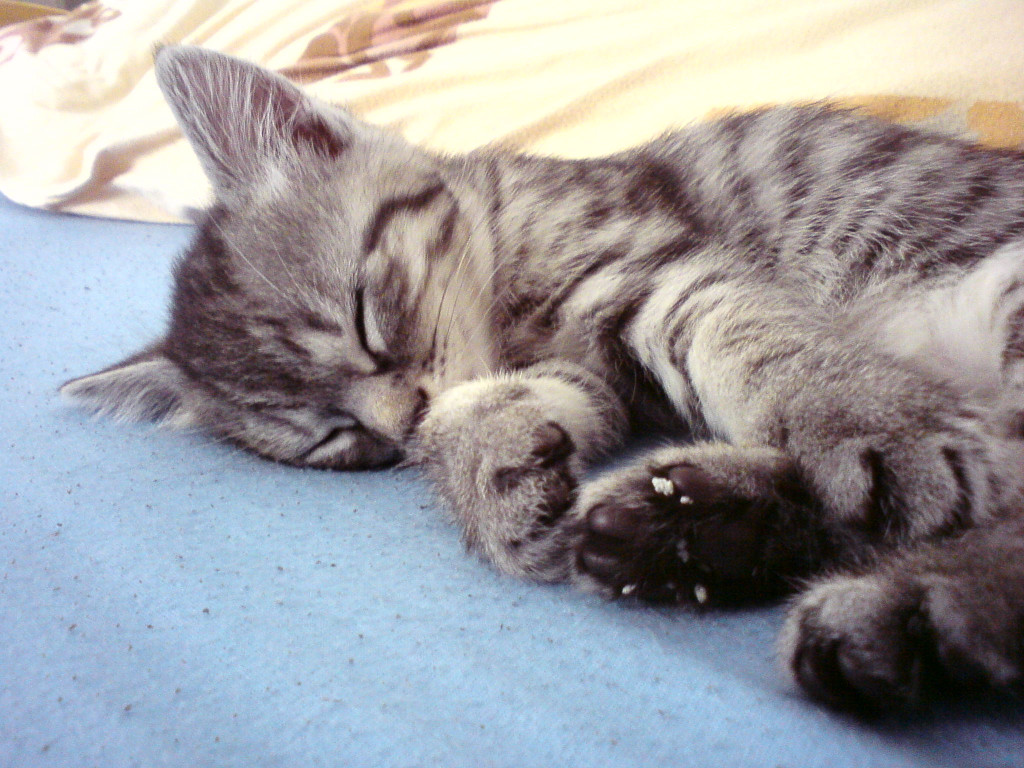 DSC00485.JPG