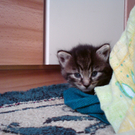 DSC00392.JPG