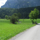 IMG_3009 _Large__JPG-1281034006