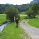 IMG_3011 _Large__JPG-1281034012