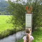 IMG_3012 _Large__JPG-1281034016