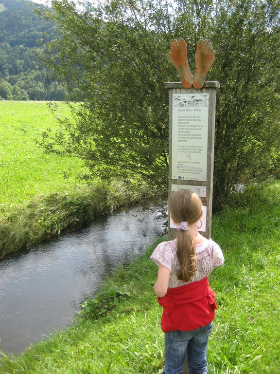 IMG_3012 _Large__JPG-1281034016