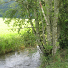 IMG_3021 _Large__JPG-1281034036