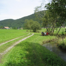 IMG_3022 _Large__JPG-1281034039