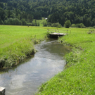 IMG_3025 _Large__JPG-1281034047