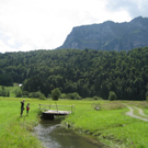 IMG_3027 _Large__JPG-1281034050