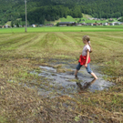 IMG_3042 _Large__JPG-1281034074