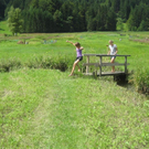 IMG_3044 _Large__JPG-1281034078