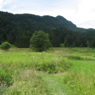 IMG_3054 _Large__JPG-1281034112