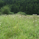 IMG_3057 _Large__JPG-1281034123