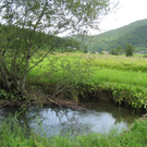 IMG_3060 _Large__JPG-1281034130