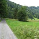 IMG_3065 _Large__JPG-1281034145