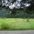 IMG_3073 _Large__JPG-1281034156
