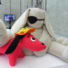 "Kuscheltiere"  im KUB