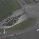 SDC11648.JPG