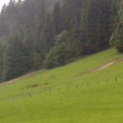 Bilder aus Alberschwende