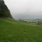dc1-5vml3wg4x0468bxii4w_original.jpg