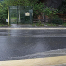 DSC07099.JPG