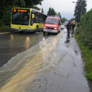 DSC07100.JPG