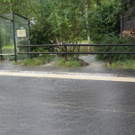 DSC07101.JPG