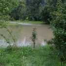 DSC07106.JPG