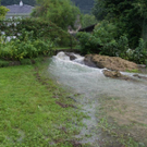 DSC07109.JPG