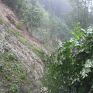 doren2.jpg