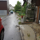 DSC07096.JPG