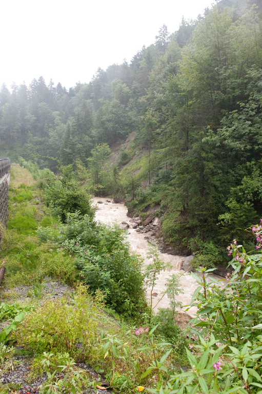 DSC_7777.jpg