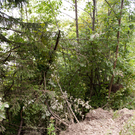 DSC_7796.jpg