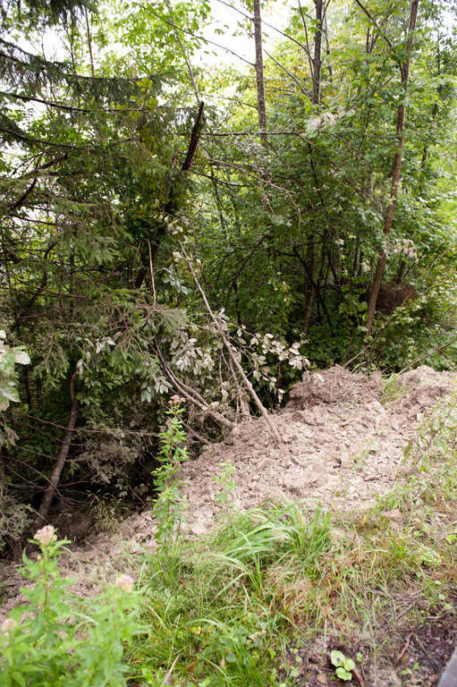 DSC_7796.jpg